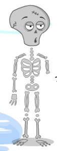 esqueleto2